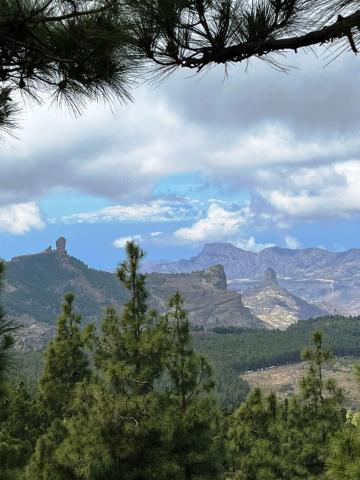 Gran Canaria 014