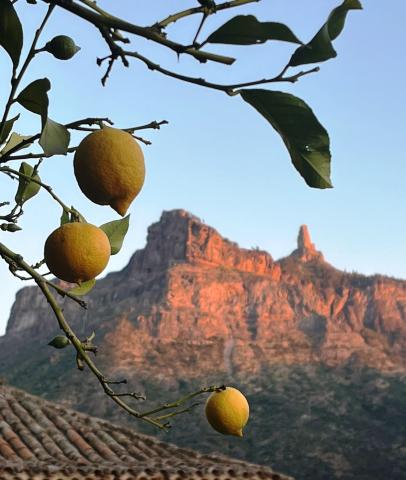 Gran Canaria 015