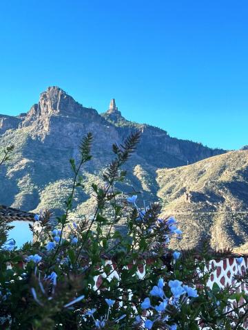 Gran Canaria 013