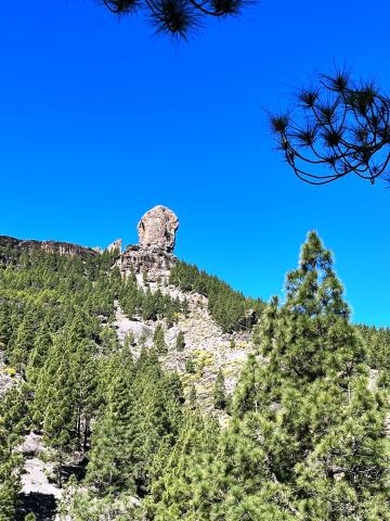 Gran Canaria 012