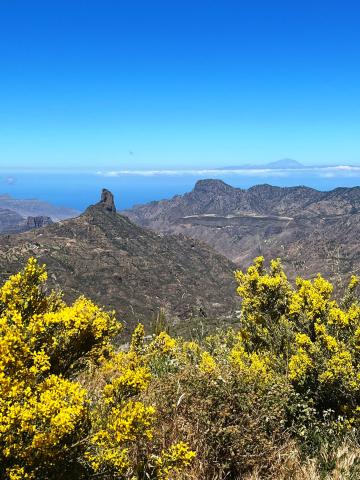 Gran Canaria 08