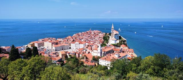 Piran 4
