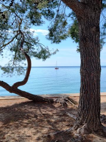 Portorož 3