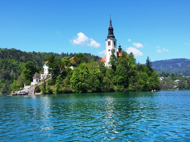 Bled 3