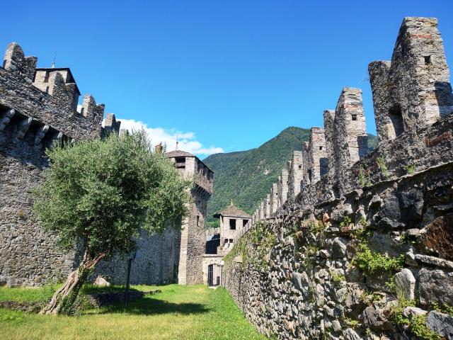 Bellinzona 010