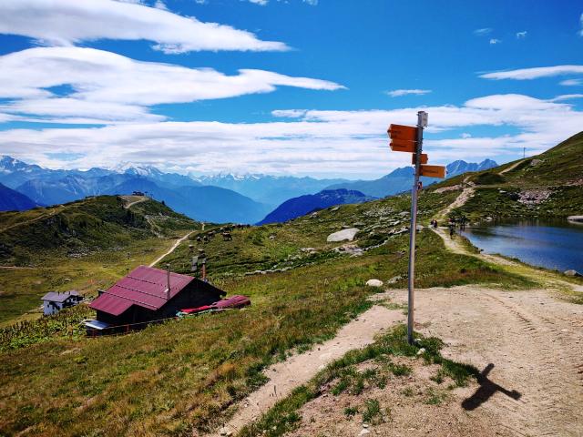 Eggishorn   Aletsch 06
