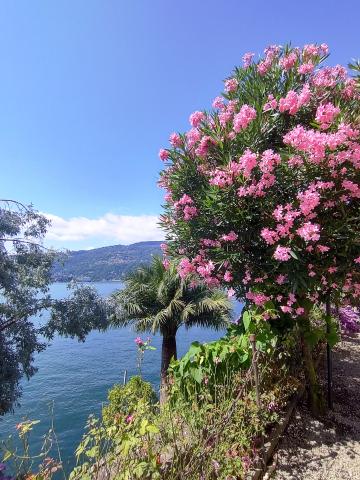 Isola Madre 013