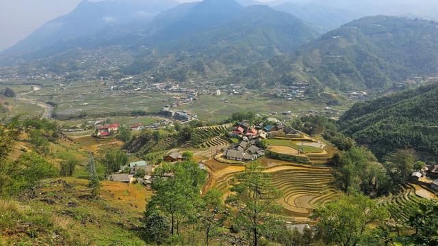 SAPA3