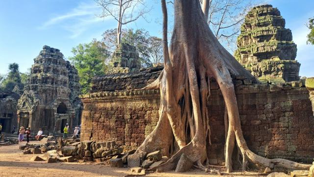 Angkor4
