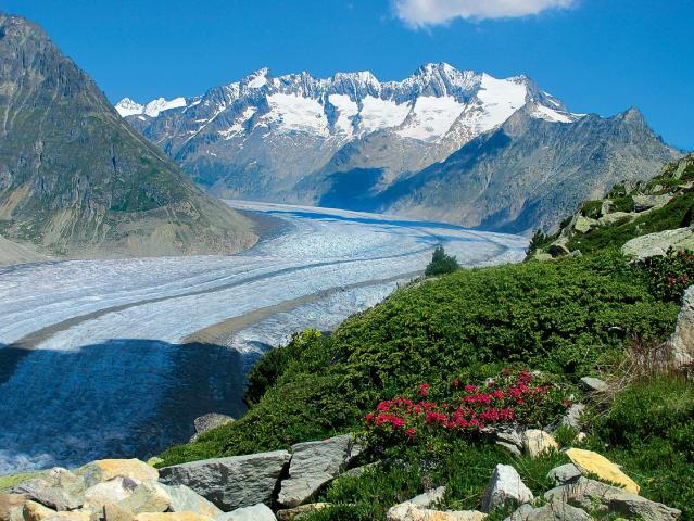 Svycarsko_ledovec-Aletsch