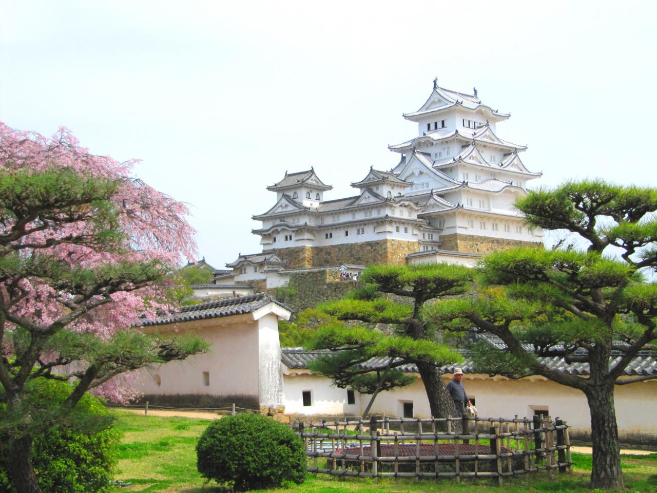 Japonsko – okruh na Honšú, památky UNESCO i metropole v době květu sakur
