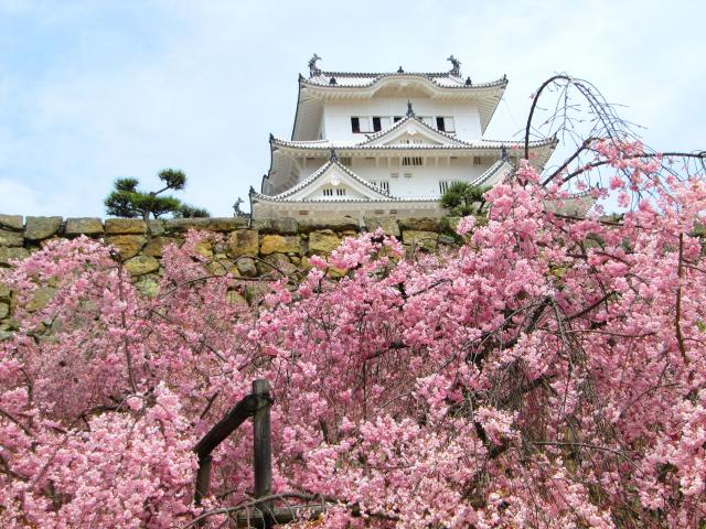 Japonsko 121