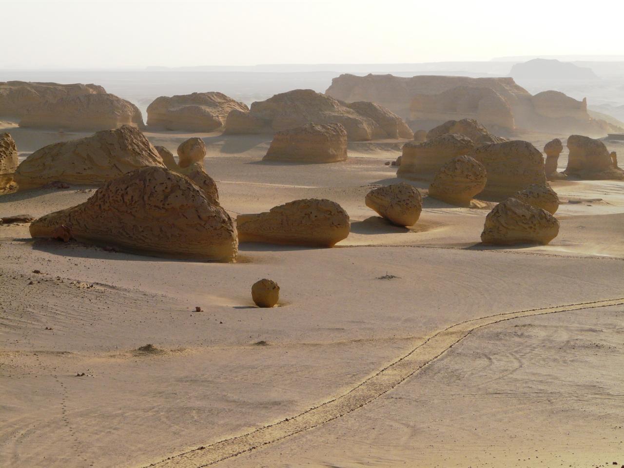 Wadí Hitan 02