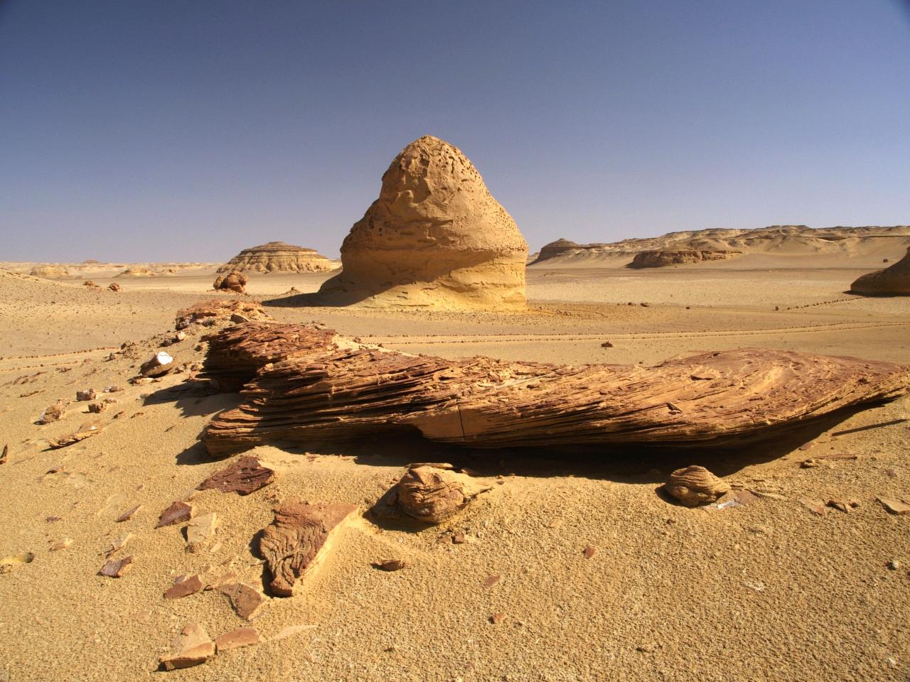 Wadi el Hitan 11