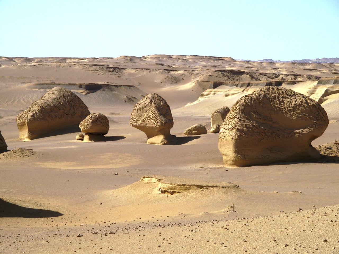 Wadi el Hitan 13
