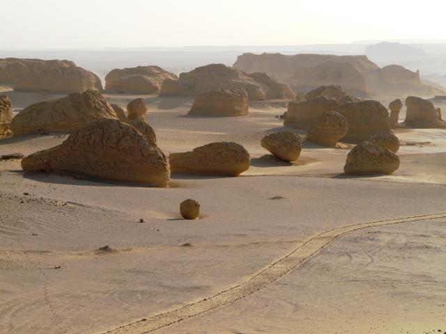 Wadí Hitan 02