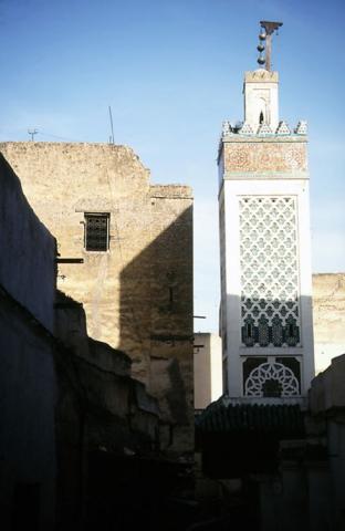 Fes 7