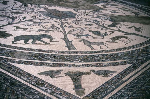 Volubilis 4