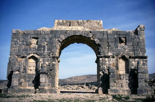 Volubilis 3