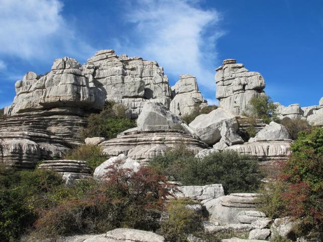 np-torcal-02