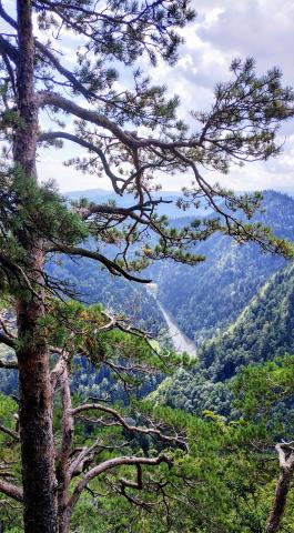 Tatry a Pieniny 04