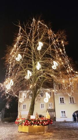 Celje 1