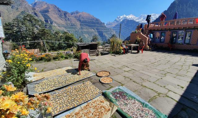 Annapurna trek3