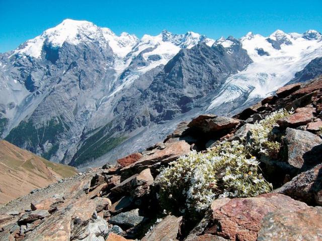 Dolomity - Adamello, Brenta, Presanella