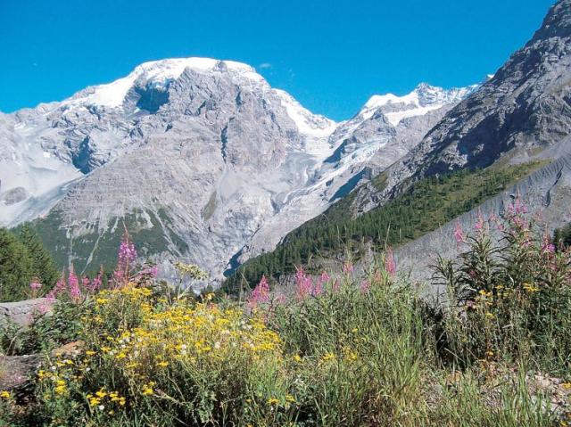Italie - Passo Stelvia 2