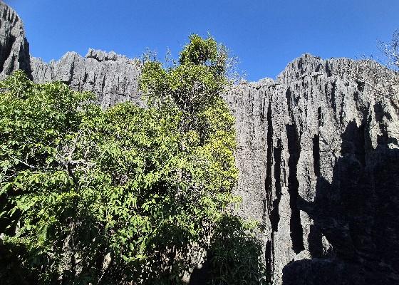 Tsingy de Bemaraha 01