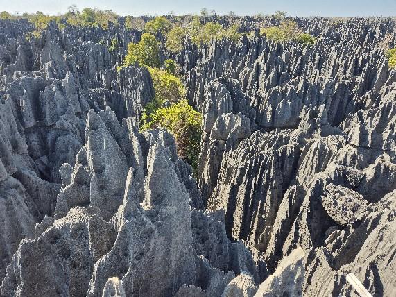 Tsingy de Bemaraha 04