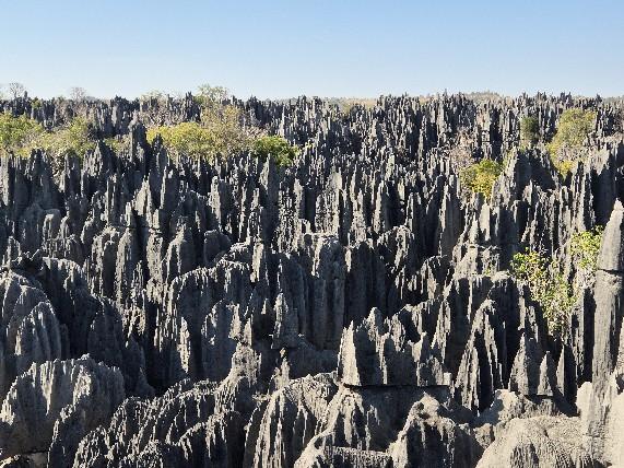 Tsingy de Bemaraha 03