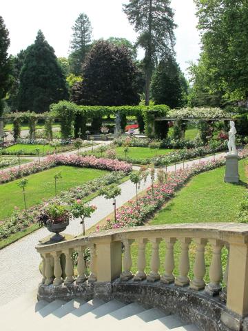 Mainau 08
