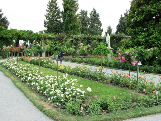 Mainau 010