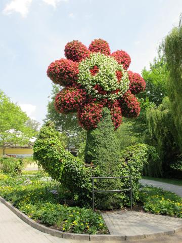 Mainau 02
