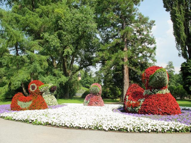 Mainau 019