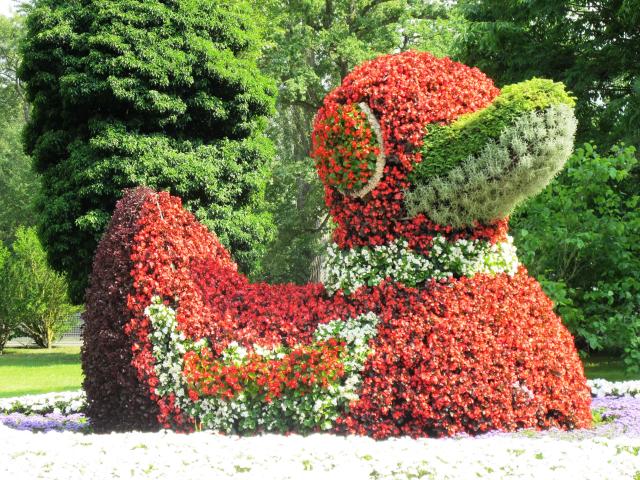 Mainau 018