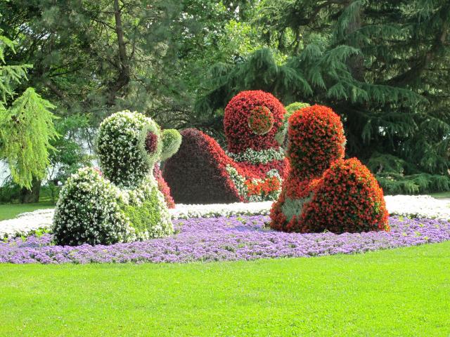 Mainau 017