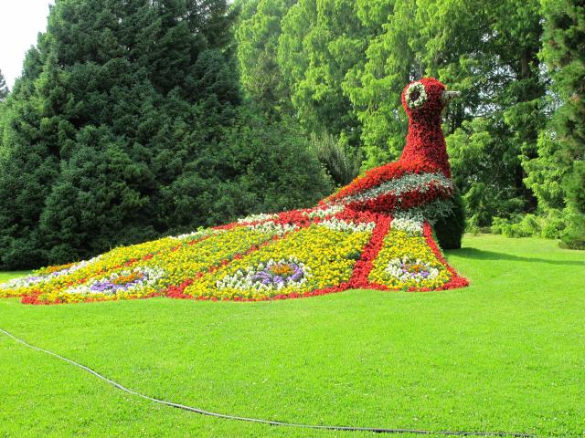 Mainau 016
