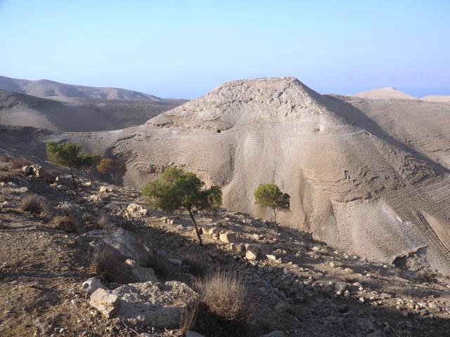 Machaerus 1