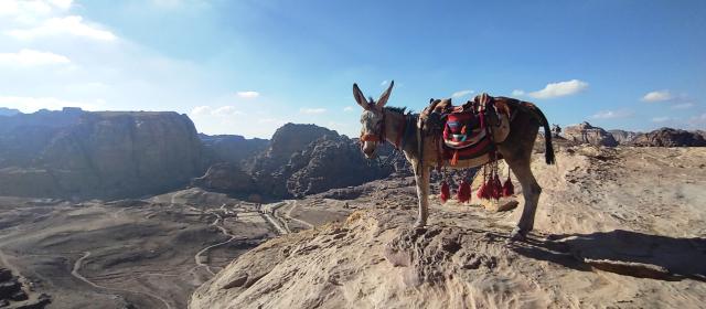 Petra 2