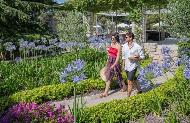 Borak Bluesun hotel - Bol (ostrov Brač) -  - Chorvatsko
