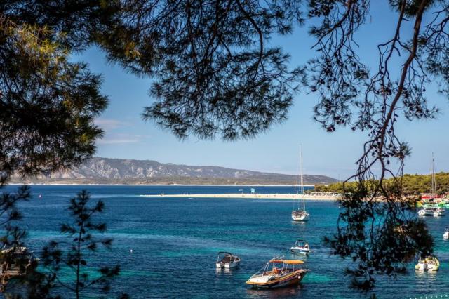 Borak Bluesun hotel - Bol (ostrov Brač) -  - Chorvatsko