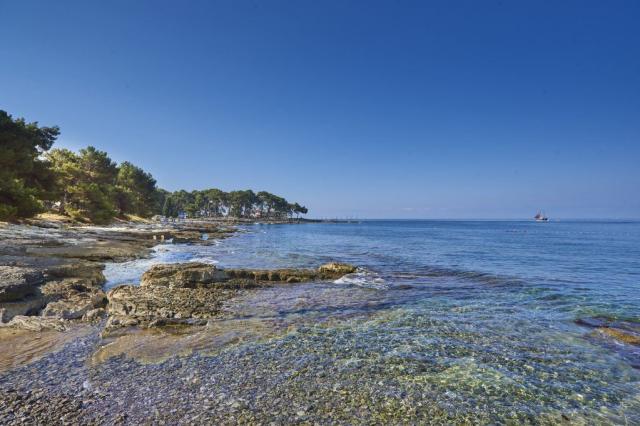 Faro villas apartmány - Savudrija -  - Chorvatsko