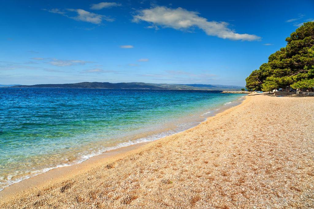 Maestral Bluesun hotel - Brela - - Chorvatsko