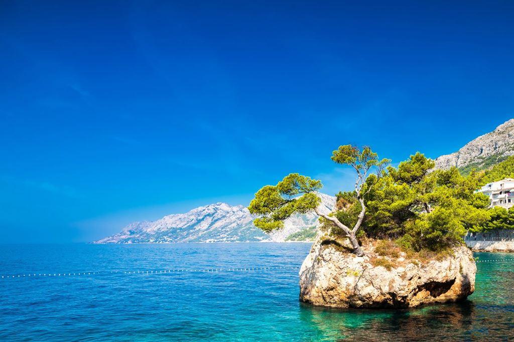 Maestral Bluesun hotel - Brela - - Chorvatsko