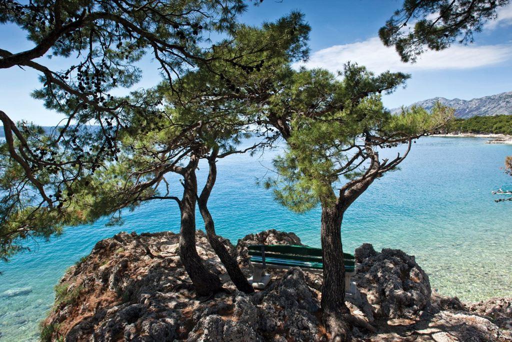 Maestral Bluesun hotel - Brela - - Chorvatsko