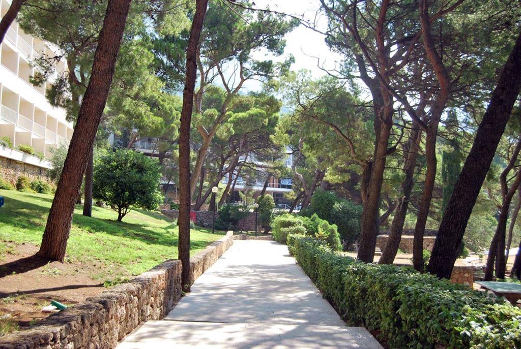 Marina Bluesun hotel - Brela - - Chorvatsko