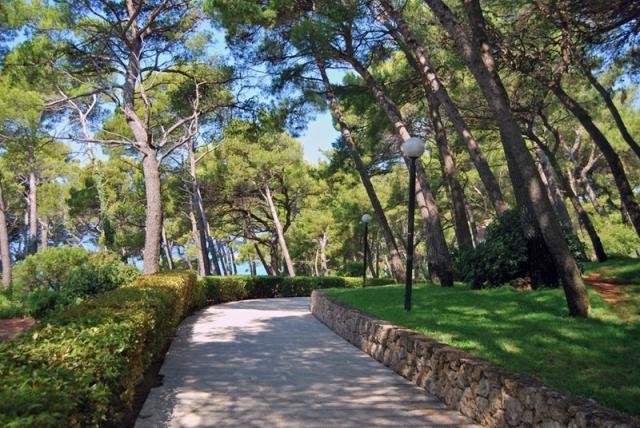Marina Bluesun hotel - Brela -  - Chorvatsko