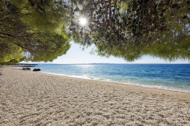 Alga Bluesun hotel - Tučepi -  - Chorvatsko